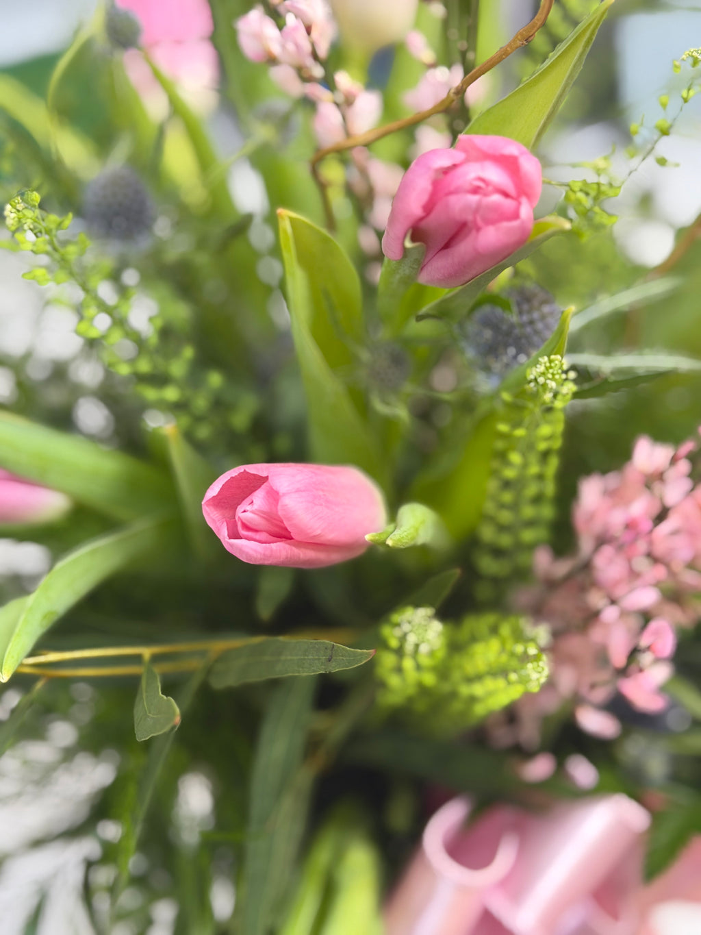 Touch of Spring